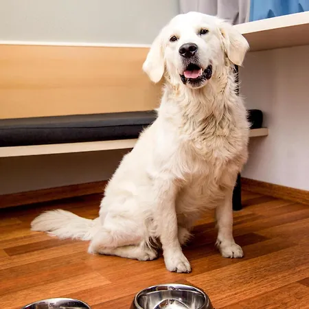 فندق Fora By Mercure هانوفر