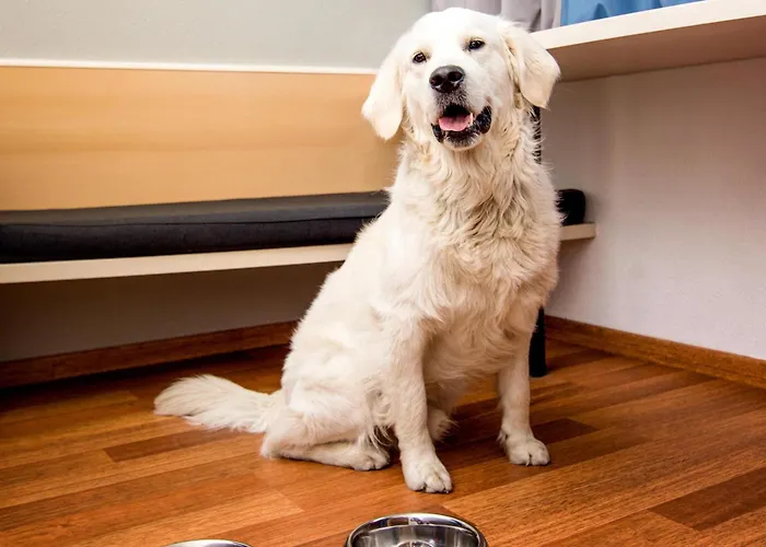 Hotel Fora By Mercure Hannover